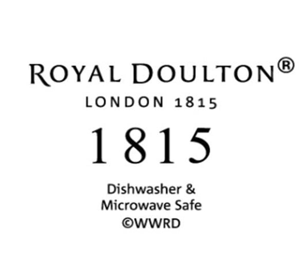 Royal Doulton 1815 Noodle Bowls set of 4 Brights 21cm