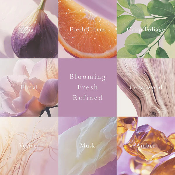 MOR Emporium Classics Blanc Primavera Fig Reed Diffuser