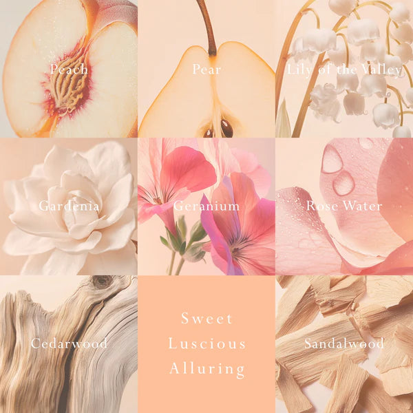 MOR Emporium Classics Blanc Peach Delight Reed Diffuser