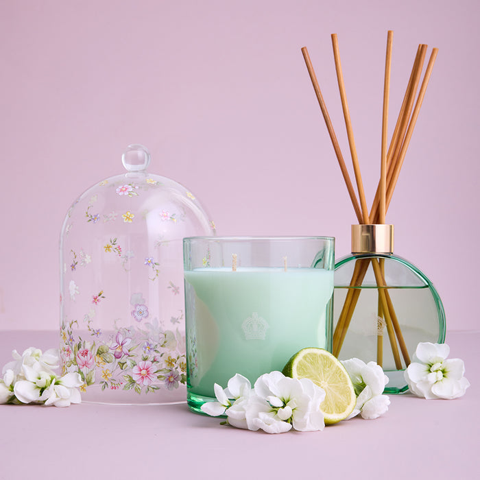 Royal Albert Velvet Jasmine & Citrus Diffuser