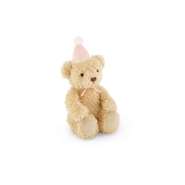 Snuggle Bunnies Birthday Arthur Fairy