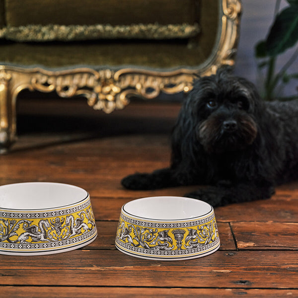 Wedgwood Florentine Pet Bowls Pet Bowl 17cm Citron