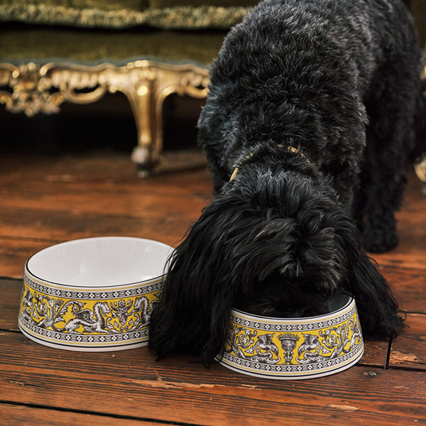 Wedgwood Florentine Pet Bowls Pet Bowl 17cm Citron