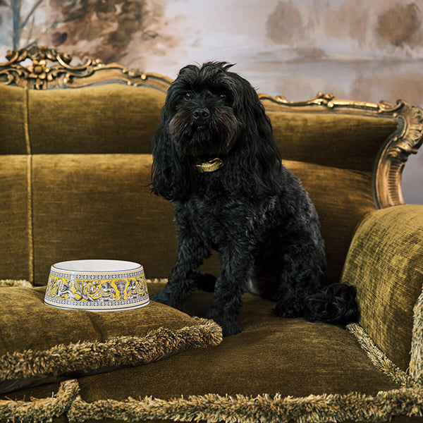 Wedgwood Florentine Pet Bowls Pet Bowl 21cm Citron