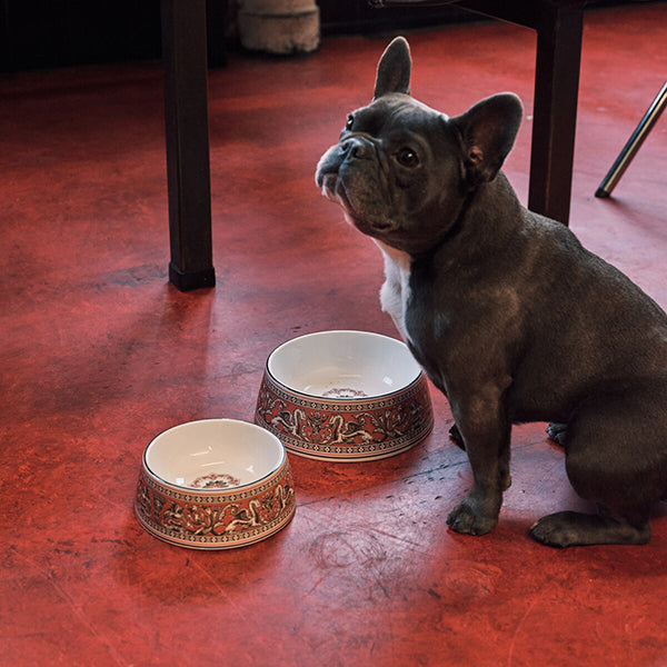 Wedgwood Florentine Pet Bowls Pet Bowl 17cm Fuchsia