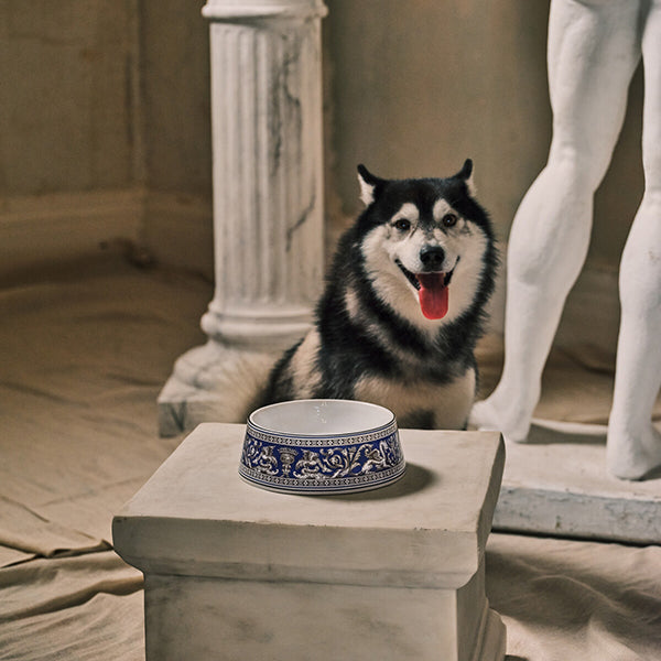 Wedgwood Florentine Pet Bowls Pet Bowl 17cm Marine