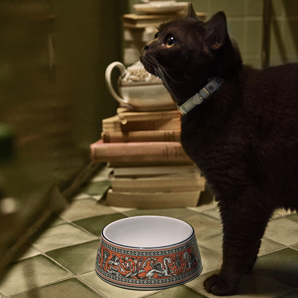 Wedgwood Florentine Pet Bowls Pet Bowl 21cm Salmon