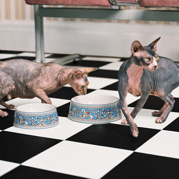 Wedgwood Florentine Pet Bowls Pet Bowl 17cm Turquoise