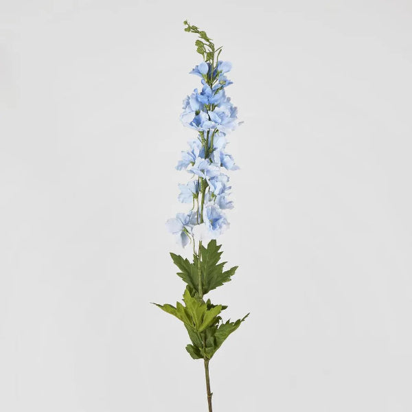 Bella Single Head Delphinium Light Blue