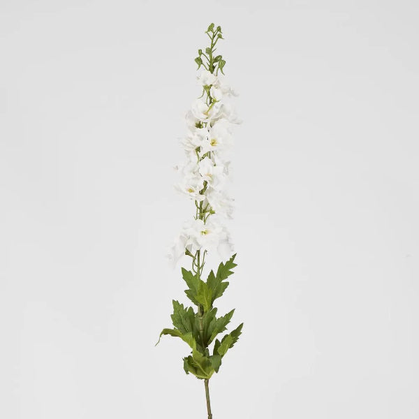 Bella Single Head Delphinium White