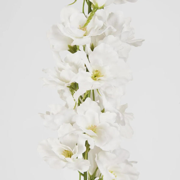 Bella Single Head Delphinium White