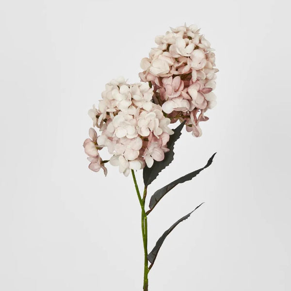 Light Pink Cone Hydrangea 60cm