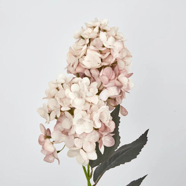 Light Pink Cone Hydrangea 60cm