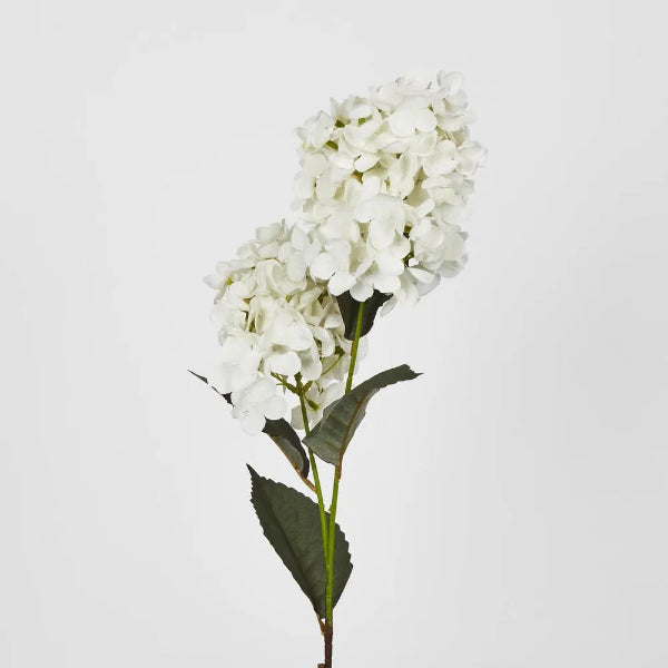 White Cone Hydrangea 60cm